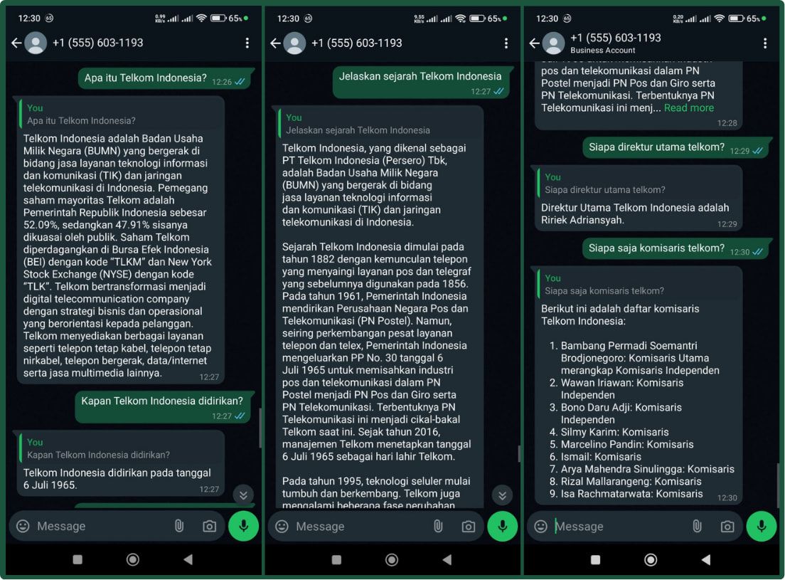 LLM-RAG Powered Customer Service Chatbot for Telkom